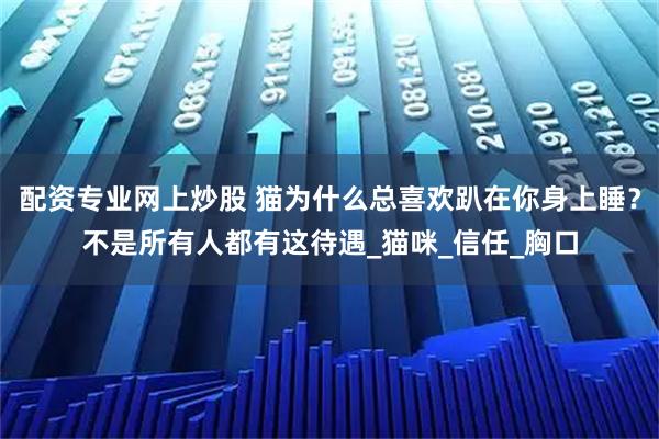 配资专业网上炒股 猫为什么总喜欢趴在你身上睡？不是所有人都有这待遇_猫咪_信任_胸口