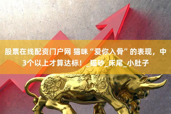 股票在线配资门户网 猫咪“爱你入骨”的表现，中3个以上才算达标！_猫砂_床尾_小肚子