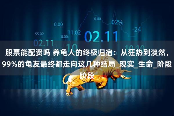 股票能配资吗 养龟人的终极归宿：从狂热到淡然，99%的龟友最终都走向这几种结局_现实_生命_阶段