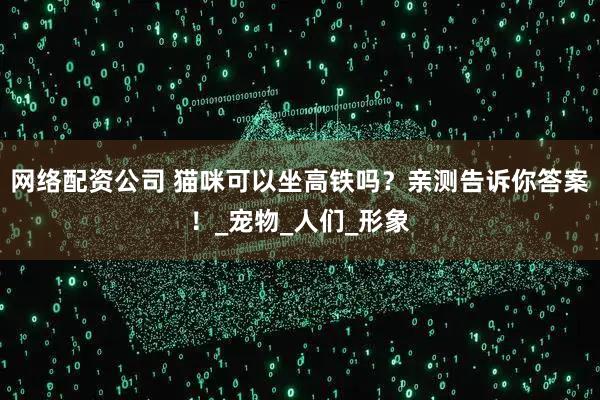 网络配资公司 猫咪可以坐高铁吗？亲测告诉你答案！_宠物_人们_形象